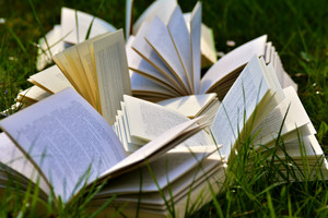 Mehrere Bücher liegen im Gras