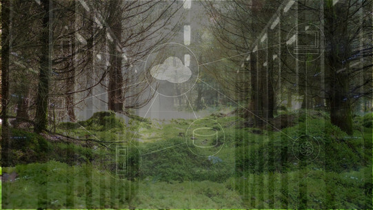 Business Ecosystems Auf dem Bild ist eine Lichtung in einem Wald zu sehen, der das Ökosystem symbolisiert. Darauf sind transparent verschiedene Symbole zu sehen, die eine Unternehmensarchitektur darstellen und in Verbund mit dem Wald das Business Ecosystem