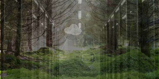 Business Ecosystems Auf dem Bild ist eine Lichtung in einem Wald zu sehen, der das Ökosystem symbolisiert. Darauf sind transparent verschiedene Symbole zu sehen, die eine Unternehmensarchitektur darstellen und in Verbund mit dem Wald das Business Ecosystem