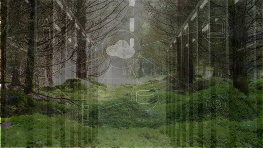 Auf dem Bild ist eine Lichtung in einem Wald zu sehen, der das Ökosystem symbolisiert. Darauf sind transparent verschiedene Symbole zu sehen, die eine Unternehmensarchitektur darstellen und in Verbund mit dem Wald das Business Ecosystem